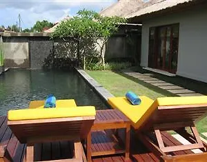 https://serene-villa-palm-1.hotelsseminyak.net